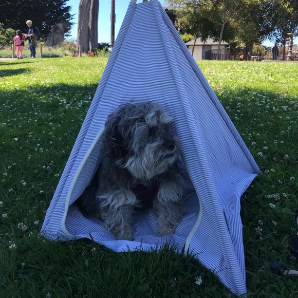 Meet your Posher, Gabriella - Picture 1 of 1